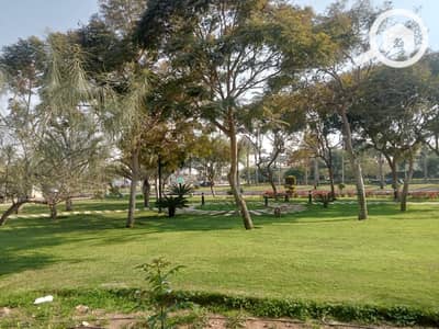 توين هاوس 3 غرف نوم للايجار في مدينتي، القاهرة - WhatsApp Image 2026-04-05 at 2.32. 54 PM (2). jpeg