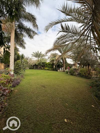 3 Bedroom Apartment for Rent in New Cairo, Cairo - WhatsApp Image 2026-03-09 at 9.33. 42 AM (2). jpeg