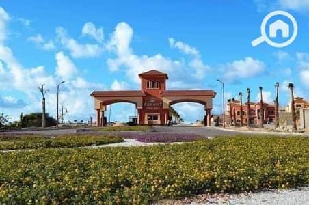 فلیٹ 3 غرف نوم للبيع في عجمي، الإسكندرية - IMG-20250804-WA0074. jpg