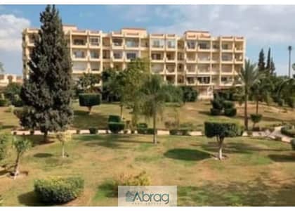 3 Bedroom Apartment for Rent in Sheikh Zayed, Giza - WhatsApp Image 2026-04-06 at 4.18. 14 PM (4). jpg