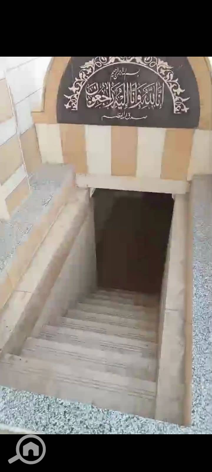 7 1000272506. png