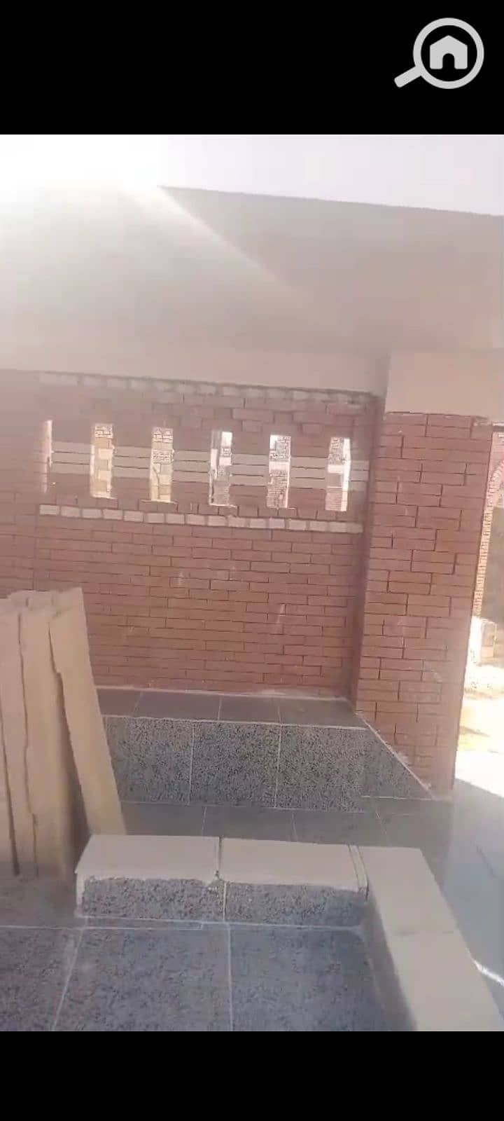 10 1000269381. png