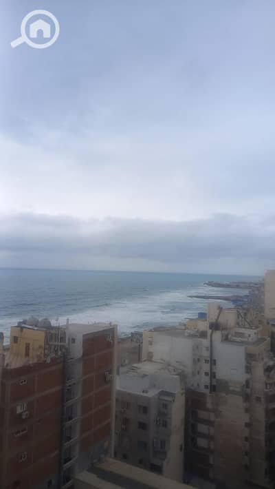 2 Bedroom Flat for Sale in Sporting, Alexandria - WhatsApp Image 2026-03-26 at 6.33. 20 PM. jpeg