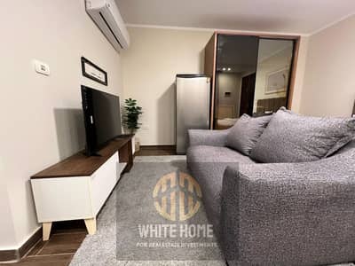 1 Bedroom Apartment for Rent in New Cairo, Cairo - ea811cfe-85c0-4793-9a4f-e02a887e6b22. jpeg 1 Bedroom Apartment for Rent in New Cairo, Cairo - ea811cfe-85c0-4793-9a4f-e02a887e6b22. jpeg