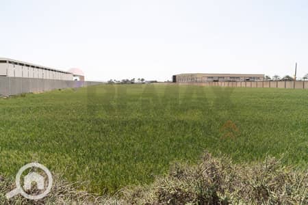 Industrial for Sale in Amreya, Alexandria - 1. jpg Industrial for Sale in Amreya, Alexandria - 1. jpg