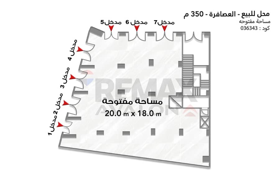 4 036343 copy. jpg