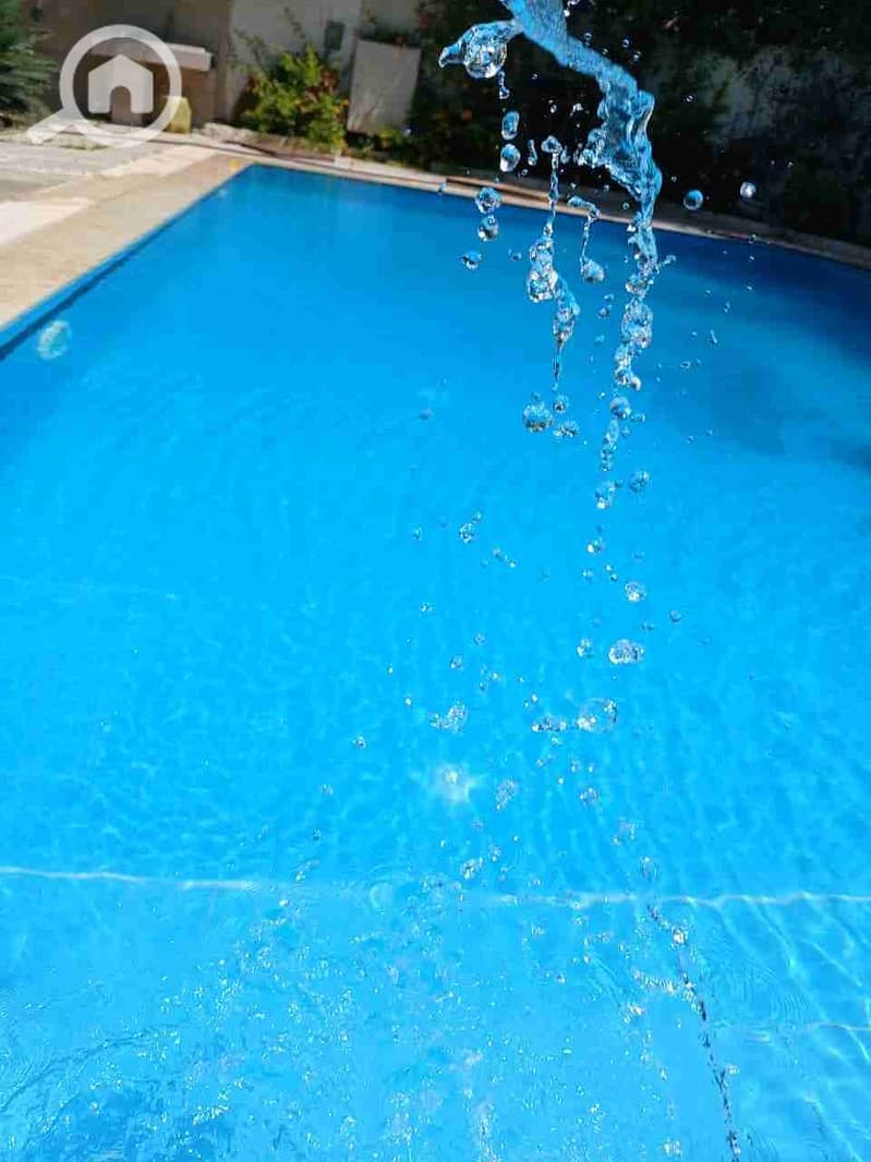 45 237042. jpg