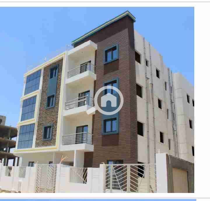8 1000586158. jpg
