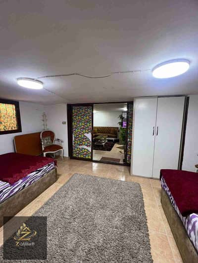 1 Bedroom Apartment for Rent in Nasr City, Cairo - IMG-20260329-WA0269. jpg 1 Bedroom Apartment for Rent in Nasr City, Cairo - IMG-20260329-WA0269. jpg