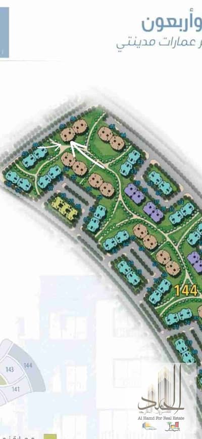 3 Bedroom Flat for Sale in Madinaty, Cairo - 1000685383. jpg 3 Bedroom Flat for Sale in Madinaty, Cairo - 1000685383. jpg