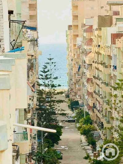 3 Bedroom Duplex for Sale in Nakheel, Alexandria - 1000788472. jpg