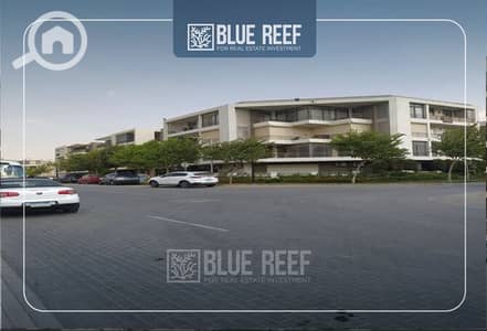 2 Bedroom Flat for Sale in New Cairo, Cairo - شسيشب. jpg