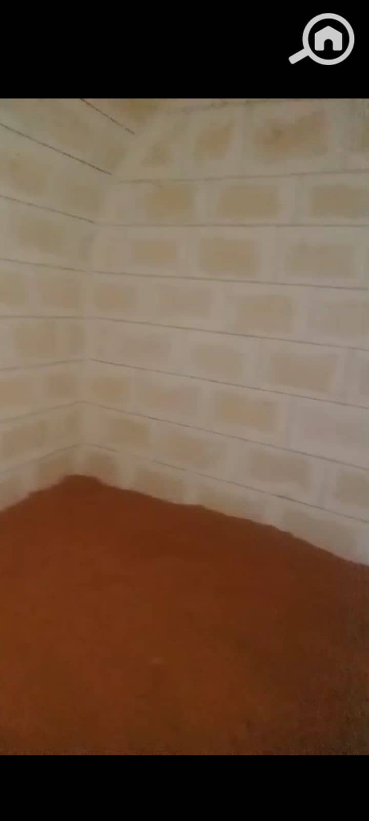 4 1000269378. png