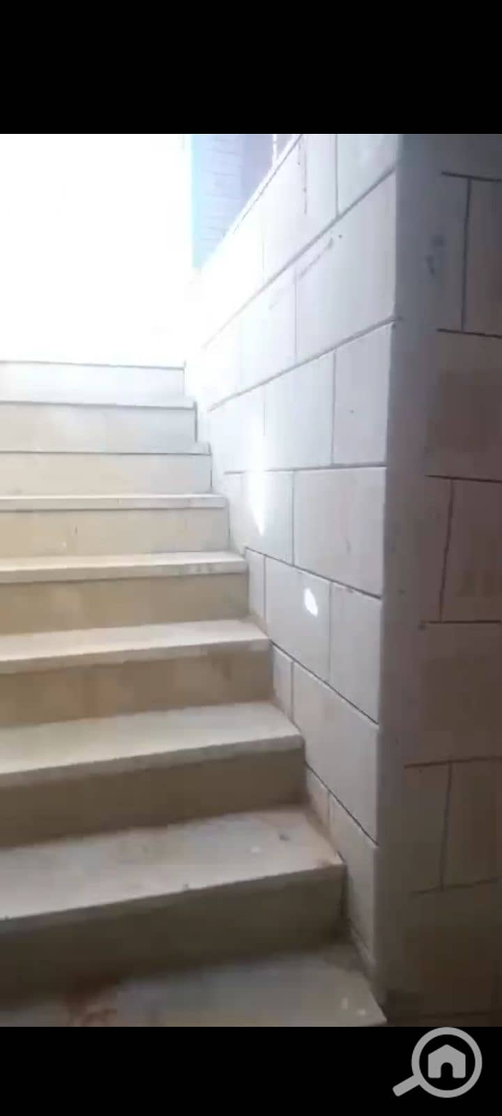 7 1000269380. png