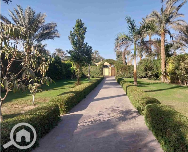 Villa For Sale In Historic Saqqara 800 Sqm on 3500sqm Land | Movie Set | Royal Garden | Unique Domes | Negotiable Unbeatable Price - Widok 4
