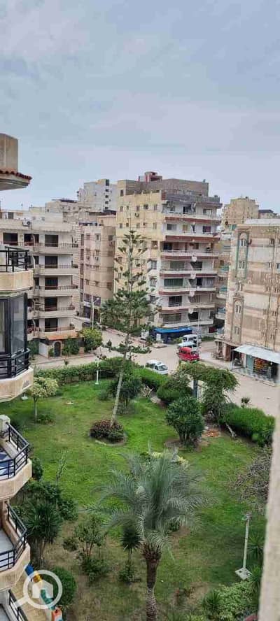شقة 3 غرف نوم للبيع في النخيل، الإسكندرية - IMG-20260409-WA0012. jpg شقة 3 غرف نوم للبيع في النخيل، الإسكندرية - IMG-20260409-WA0012. jpg