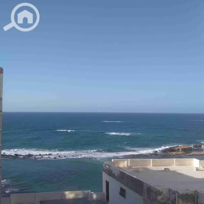 2 Bedroom Apartment for Rent in Miami, Alexandria - 1000330297. jpg