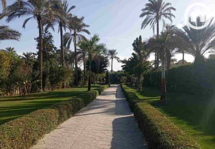 10+ Beds Villa for Sale in Sakkara, Giza - 1. jpg