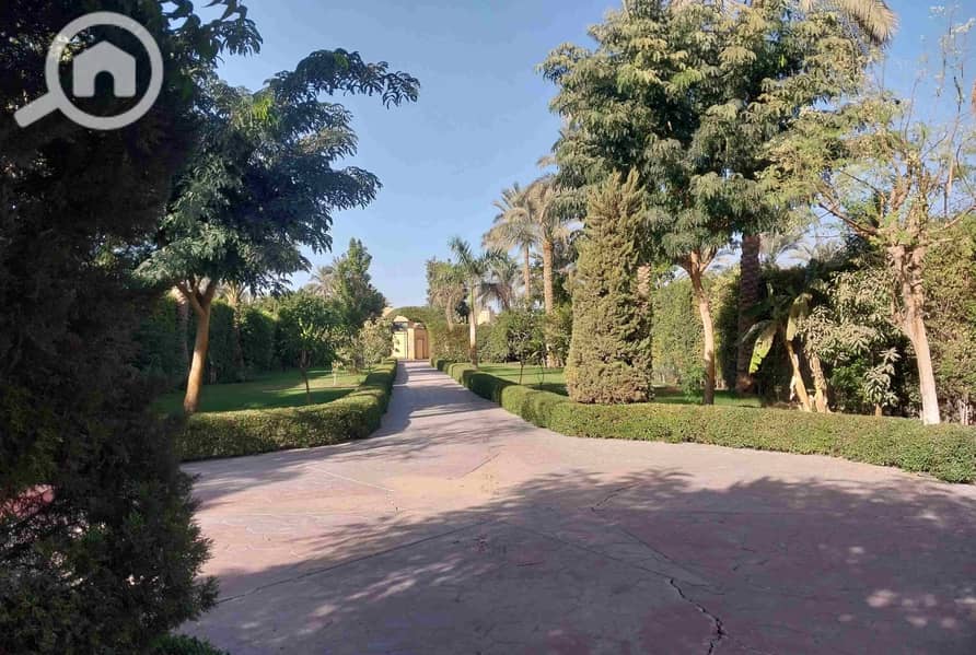 Villa For Sale In Historic Saqqara 800 Sqm on 3500sqm Land | Movie Set | Royal Garden | Unique Domes | Negotiable Unbeatable Price - Widok 3