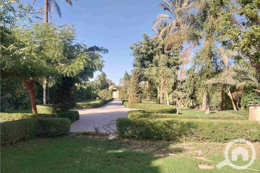 Villa For Sale In Historic Saqqara 800 Sqm on 3500sqm Land | Movie Set | Royal Garden | Unique Domes | Negotiable Unbeatable Price - Widok 5