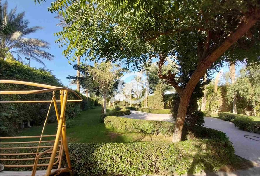 Villa For Sale In Historic Saqqara 800 Sqm on 3500sqm Land | Movie Set | Royal Garden | Unique Domes | Negotiable Unbeatable Price - Widok 6