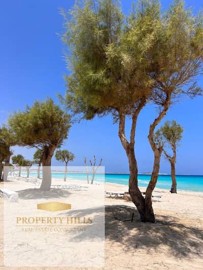 4 Bedroom Chalet for Sale in North Coast, Matruh - WhatsApp Image 2026-04-08 at 4.11. 29 PM (5). jpeg 4 Bedroom Chalet for Sale in North Coast, Matruh - WhatsApp Image 2026-04-08 at 4.11. 29 PM (5). jpeg