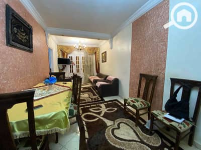 فلیٹ 2 غرفة نوم للايجار في كليوباترا، الإسكندرية - IMG_3707. jpg فلیٹ 2 غرفة نوم للايجار في كليوباترا، الإسكندرية - IMG_3707. jpg