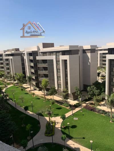 فلیٹ 3 غرف نوم للايجار في مدينتي، القاهرة - f9159adb-f0b8-497f-8de9-823fde9ed08d. jpg