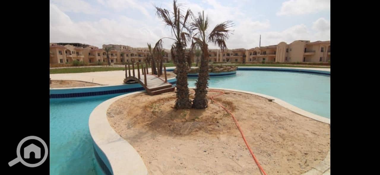21 78eaf557-7b83-4bb4-a905-938de2bd0639. jpg
