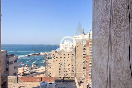فلیٹ 4 غرف نوم للبيع في ميامي، الإسكندرية - 1. jpg