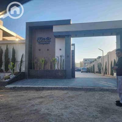 فیلا 6 غرف نوم للبيع في كينج مريوط، الإسكندرية - 239528. jpg فیلا 6 غرف نوم للبيع في كينج مريوط، الإسكندرية - 239528. jpg