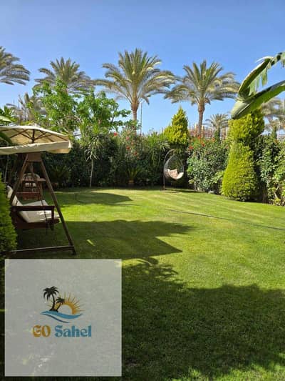 4 Bedroom Twin House for Rent in North Coast, Matruh - IMG-20260208-WA0045. jpg