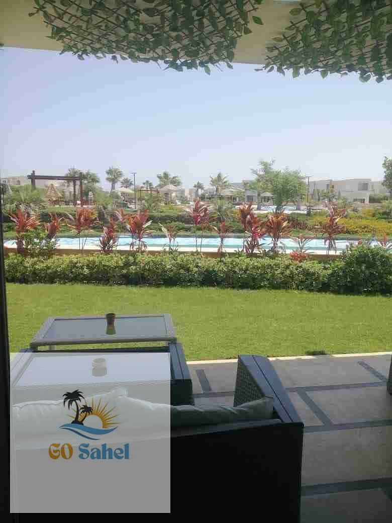5 1000556128. jpg
