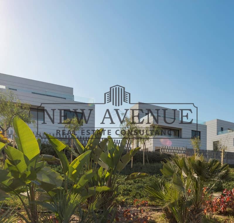 Twin house north oriented, 245 meters, in a very prime location (Al Burouj) - Vista 3