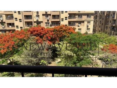 1 Bedroom Apartment for Sale in Madinaty, Cairo - WhatsApp Image 2025-07-21 at 2.06. 26 PM. jpg