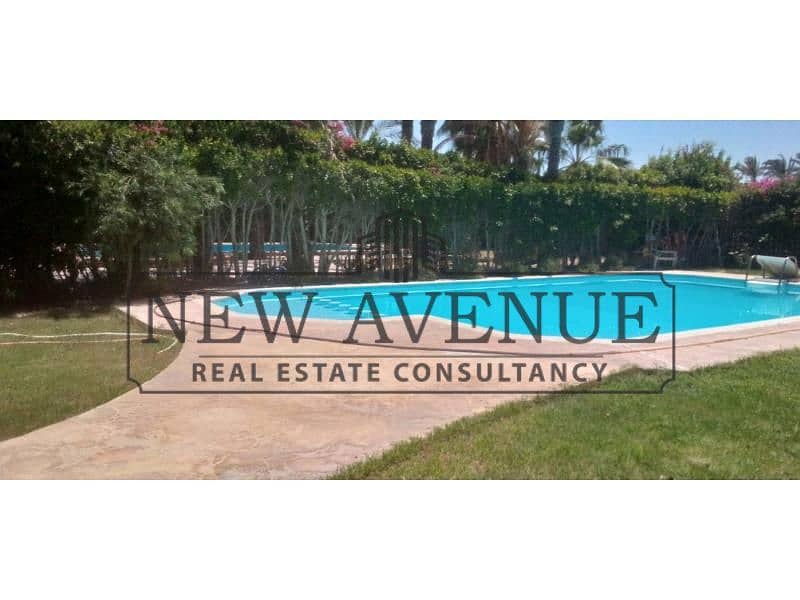 3 43ec9703-52fe-4945-9dbd-da90ab7bc0f7. jpg