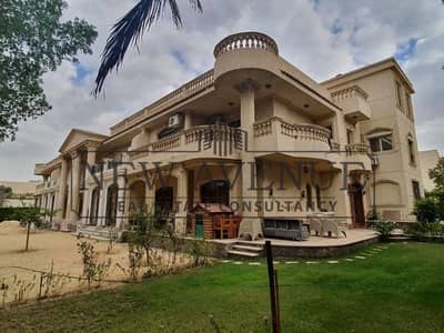 3 Bedroom Townhouse for Sale in Ismailia City, Ismailia - WhatsApp Image 2026-04-06 at 12.03. 41 AM (5). jpg