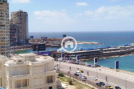 4 Bedroom Apartment for Sale in Zizinia, Alexandria - 14. jpg 4 Bedroom Apartment for Sale in Zizinia, Alexandria - 14. jpg