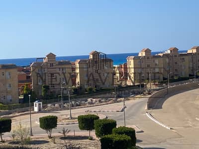 3 Bedroom Penthouse for Sale in North Coast, Matruh - WhatsApp Image 2025-08-20 at 4.29. 32 PM. jpeg