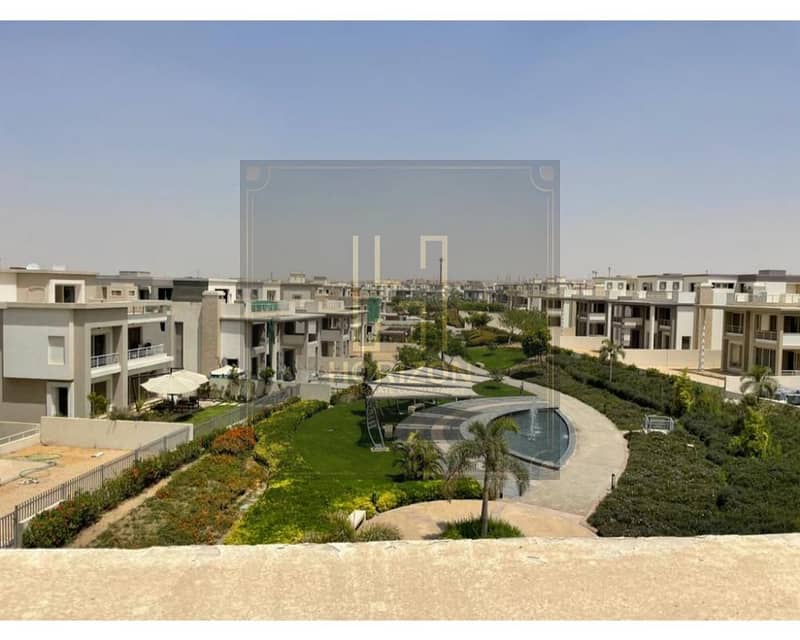 7 37ab3228-5c9e-40c8-ab03-e5f9a0e8081d_Shaaban_Nabil. jpg