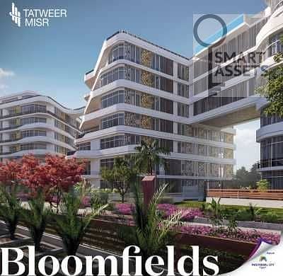 6 Compound-Bloomfields-Mostakbal-City. jpg