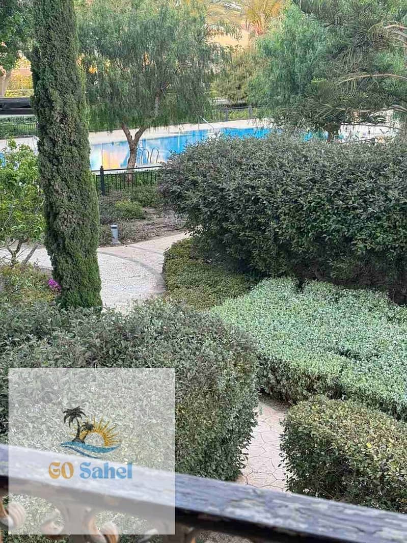 16 1000557940. jpg