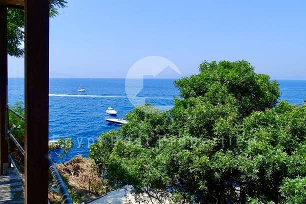 17 istockphoto-1470046790-612x612. jpg