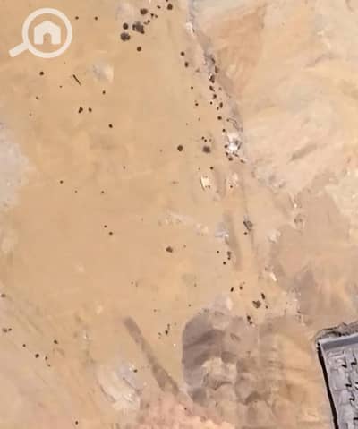 أرض تجارية للبيع في القاهرة الجديدة، القاهرة - 74b3dafe-32b7-418e-8771-5224661ddeab. jpg أرض تجارية للبيع في القاهرة الجديدة، القاهرة - 74b3dafe-32b7-418e-8771-5224661ddeab. jpg