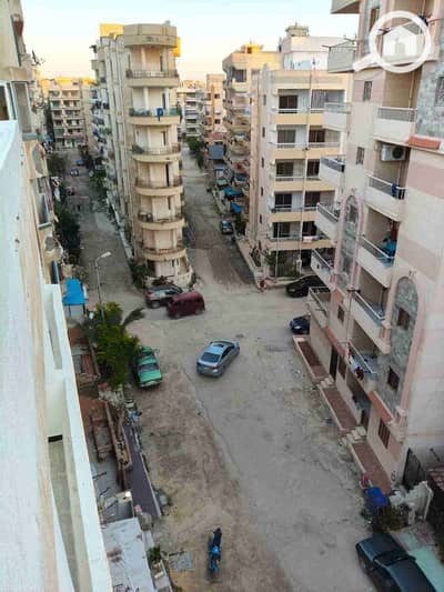 فلیٹ 2 غرفة نوم للبيع في النخيل، الإسكندرية - 1000535311. jpg