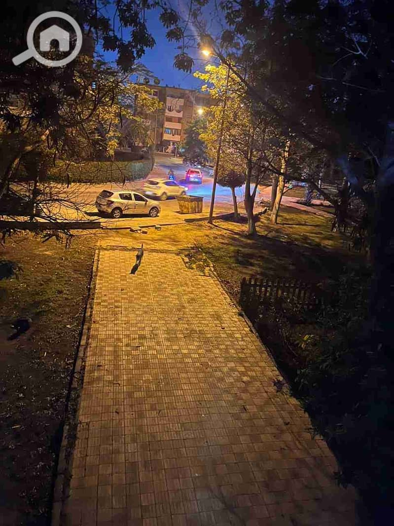 8 1000332854. jpg