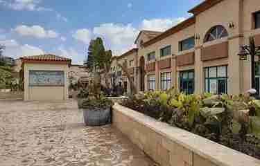 4 1000461050. webp
