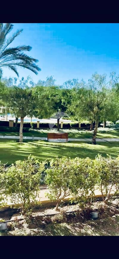 شاليه 2 غرفة نوم للبيع في الساحل الشمالي، مطروح - WhatsApp Image 2026-04-14 at 1.30. 15 PM (1). jpeg