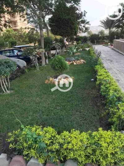 شقة 2 غرفة نوم للايجار في زهراء المعادى، القاهرة - 1000235598. jpg شقة 2 غرفة نوم للايجار في زهراء المعادى، القاهرة - 1000235598. jpg