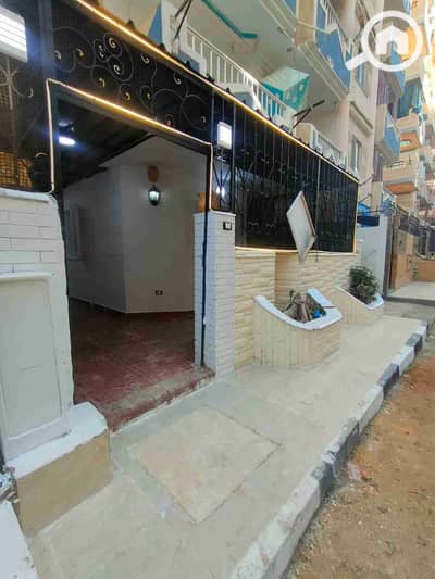 شاليه 2 غرفة نوم للبيع في النخيل، الإسكندرية - 1000798252. jpg